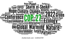 COP 27 Outcomes: What You Need to Know About the Latest Climate Change Developments