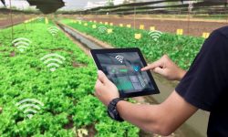 Smart Agriculture: Approaches and Benefits in 2023